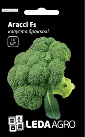 Капуста брокколі — Photo 8