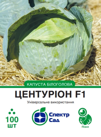 Каталог — Photo 10