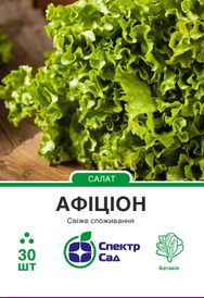 Каталог — Photo 1