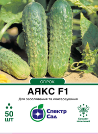 Каталог — Photo 9