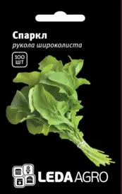 Насіння руколи — Photo 5