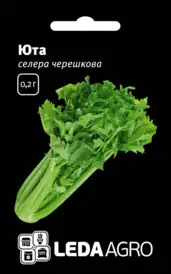 Насіння селери — Photo 2