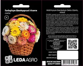 Насіння квітів для кімнатного вирощування — Photo 2