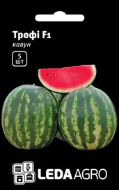 Насіння кавуна — Photo 15