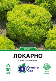 Насіння салату — Photo 14