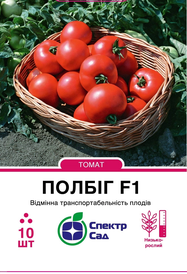 Каталог — Photo 19