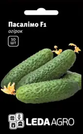 Насіння огірка — Photo 15