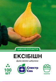Насіння цибулі — Photo 2