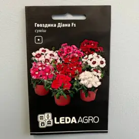 Каталог — Photo 7