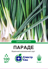 Насіння цибулі — Photo 7