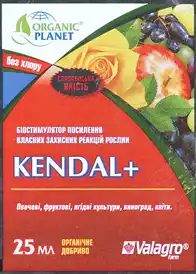 Каталог — Photo 2