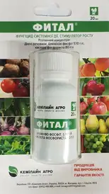 Каталог — Photo 2