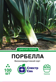 Насіння цибулі — Photo 1