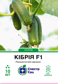 Каталог — Photo 6
