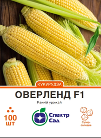 Каталог — Photo 14