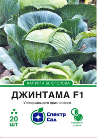 Каталог — Photo 16
