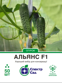 Каталог — Photo 3