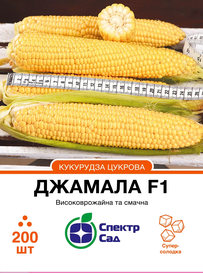Каталог — Photo 2