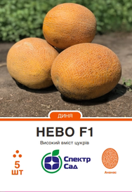 Каталог — Photo 4
