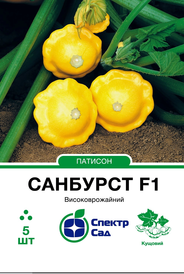 Насіння патисонів — Photo 1