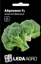 Каталог — Photo 5