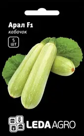 Каталог — Photo 18