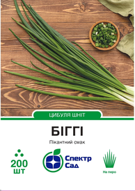 Насіння цибулі — Photo 6