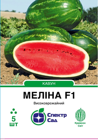 Каталог — Photo 12