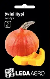 Каталог
