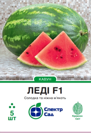 Каталог — Photo 16