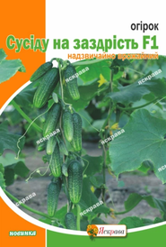 Насіння огірка — Photo 19