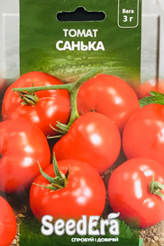 Томат детермінантний (низькорослий) — Photo 18