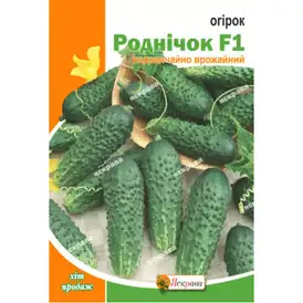 Огірок бджолозапильний — Photo 7