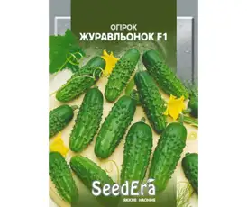 Насіння огірка — Photo 7