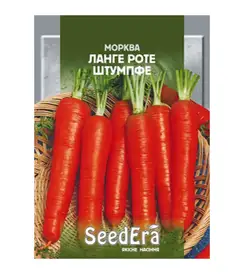 Насіння моркви — Photo 9