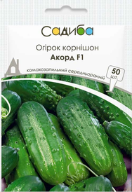Каталог — Photo 1