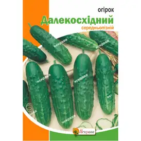 Огірок бджолозапильний — Photo 19