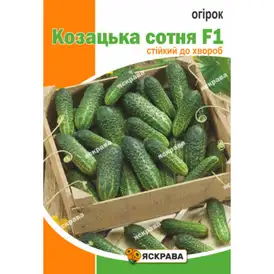 Насіння огірка — Photo 18