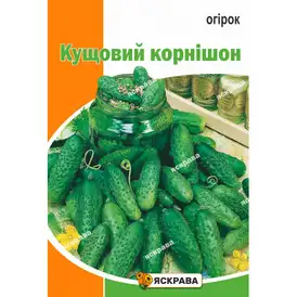 Огірок бджолозапильний — Photo 16