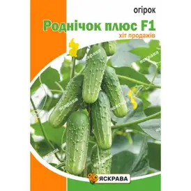 Огірок бджолозапильний — Photo 6