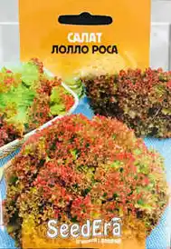 Насіння — Photo 7