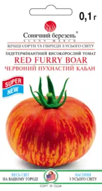 Насіння томату — Photo 3