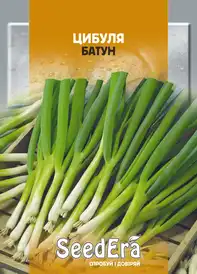 Насіння цибулі
