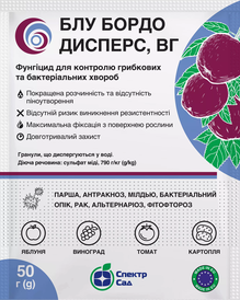 Каталог — Photo 2