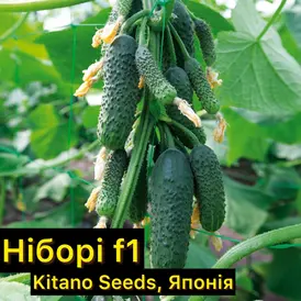Каталог — Photo 2