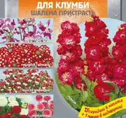 Насіння квітів — Photo 72